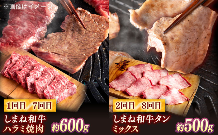 【全12回定期便】叉鬼の焼肉酒場 豪華特別セット！（ハラミ・牛タン・厳選焼肉・スライス・しゃぶしゃぶ/すき焼き・ヒレステーキ）計8.2kg　島根県松江市/株式会社O.R.C [ALEF014]