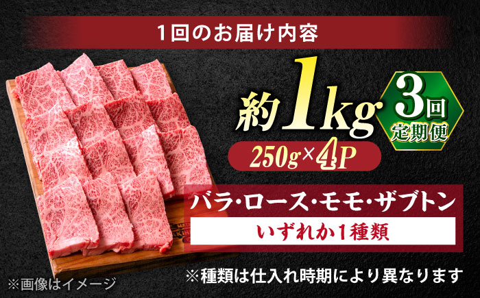 【全3回定期便】極上厳選！受賞歴多数 しまね和牛 焼肉 計3.0kg 島根県松江市/株式会社O.R.C [ALEF080]