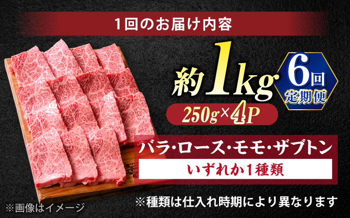 【全6回定期便】極上厳選！受賞歴多数 しまね和牛 焼肉 計6.0kg 島根県松江市/株式会社O.R.C [ALEF084]
