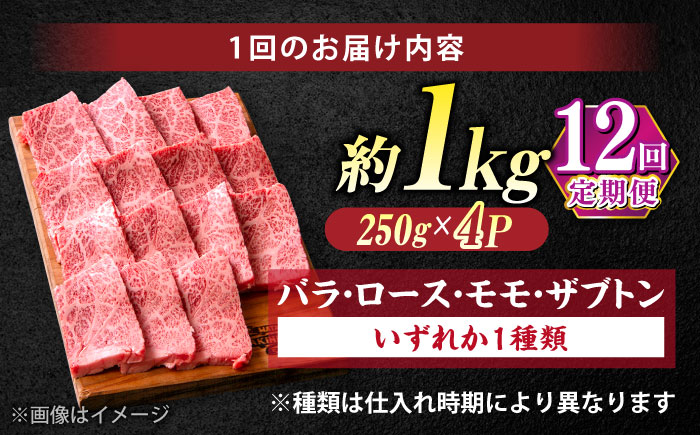 【全12回定期便】極上厳選！受賞歴多数 しまね和牛 焼肉 計12.0kg 島根県松江市/株式会社O.R.C [ALEF088]