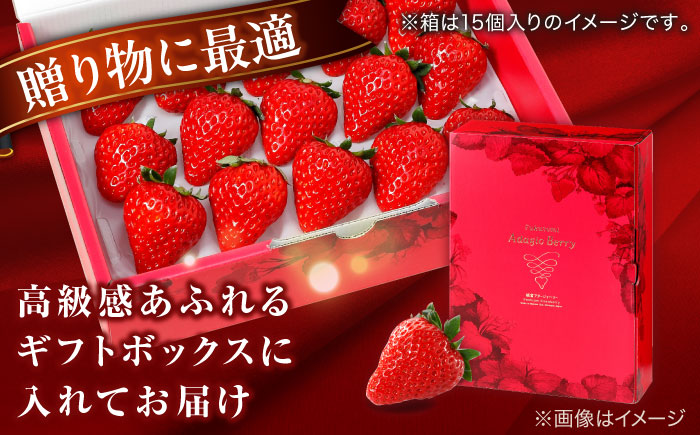 【数量限定100セット】島根県松江市「のつ農園」　完熟いちご「福富アダージョベリー」　12個入り 島根県松江市/山陰中央テレビジョン放送株式会社 [ALFI003]