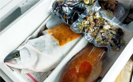 【年内発送】漁師直送！旬の海産物詰め合わせ(10,000円相当)冷蔵 島根県松江市/株式会社永幸丸 [ALFM004] 旬の鮮魚