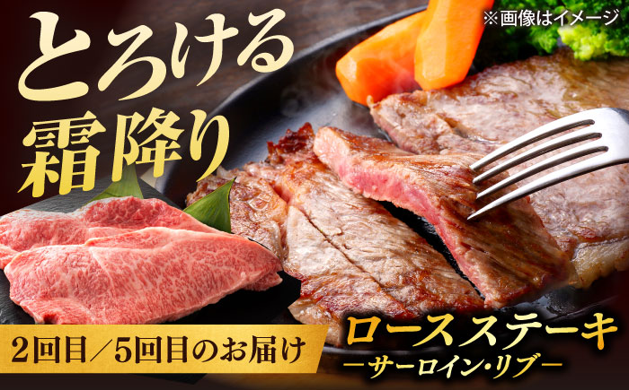 【全6回定期便】【ブランド牛・しまね和牛】豪華ステーキの3種セット（モモステーキ・ロースステーキ・シャトーブリアン）計3.36kg　島根県松江市/Do corporation株式会社 [ALFU047]