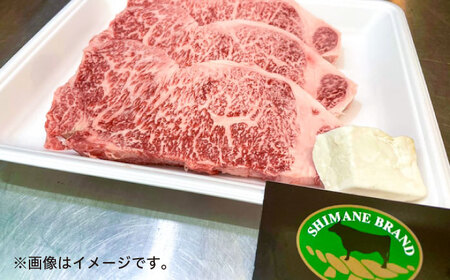 特選サーロインステーキ 190g×3 しまね和牛 島根県松江市/有限会社神戸屋 [ALGF001] 牛肉