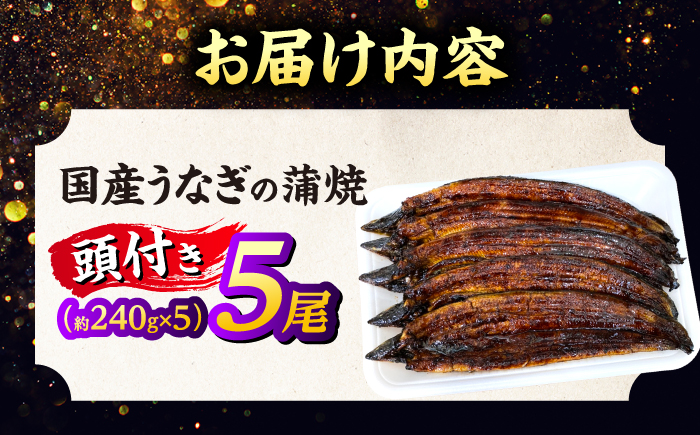 国産うなぎの蒲焼×5尾（頭付き）鰻 ウナギ かば焼き 島根県松江市/うなぎの源内 [ALHE003]