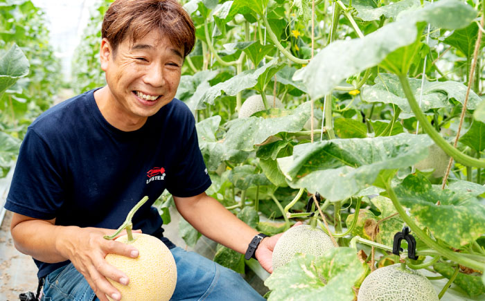 【先行予約】ご縁玉 ゴールデンパールメロン1.3kg×2玉 島根県松江市/有限会社安藤農園 [ALID011]