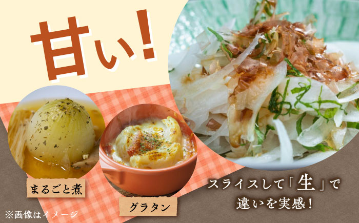 【数量限定100個】【先行予約/2026年6月上旬以降順次発送】味しまねゴールド認証取得! 松江市産 春おとずれ新たまねぎ 5kg 島根県松江市/mishiro farm [ALIJ002]