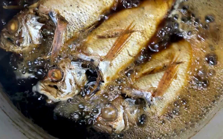 島根県産特大「のどぐろの煮付け」 島根県松江市/浅利観光株式会社 [ALAB001] 魚貝 加工品 のどぐろ