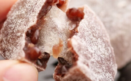 小豆と求肥のお菓子「伯耆坊」16個入 島根県松江市/株式会社彩雲堂 [ALAY002] 和菓子