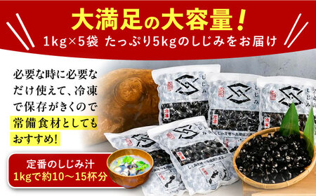 【年内発送】地元でも入手困難なレアサイズ！ Lサイズ 宍道湖産ヤマトシジミ(冷凍砂抜き済み)1kg×5袋(5kg) 島根県松江市/宍道湖漁業協同組合 [ALAZ001] しじみ