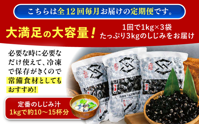 【全12回定期便】地元でも入手困難なレアサイズ！ Lサイズ 宍道湖産ヤマトシジミ(冷凍砂抜き済み)1kg×3袋(3kg) 島根県松江市/宍道湖漁業協同組合 [ALAZ008]