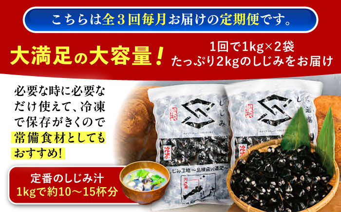 【全3回定期便】地元でも入手困難なレアサイズ！ Lサイズ 宍道湖産ヤマトシジミ(冷凍砂抜き済み)1kg×2袋(2kg) 島根県松江市/宍道湖漁業協同組合 [ALAZ009]