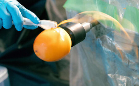 【先行予約】【2025年11月30日より順次発送】【数量限定80個】西条柿のドライフルーツと干し柿L セット 島根県松江市/須山農園 [ALBD002] 柿