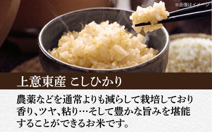 五ツ星お米マイスター厳選【玄米】エコ栽培米 恵の上意東産「コシヒカリ」5kg 島根県松江市/株式会社沼田米穀店 [ALBU001] 米