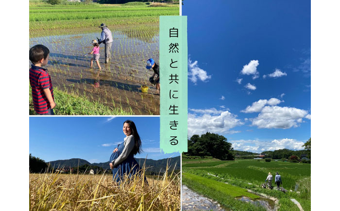 【令和7年度 新米】【数量限定】松江市産きぬむすめ10kg 受賞歴有 米 島根県松江市/有限会社原田米穀 | きぬむすめ 10kg 無洗米 残留農薬不検出 [ALBW011]