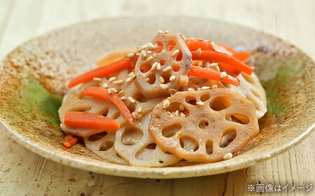 【数量限定50個】島採れ掘りたて 大根島産神泉れんこん 3kg 島根県松江市/株式会社ふぁーむ大根島 [ALCB005]