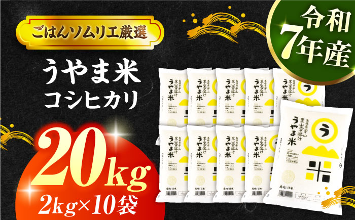 【令和7年産】雪解け水で育った 島根県産「うやま米コシヒカリ（雲南市吉田町）」20kg(2kg×10) 島根県松江市/有限会社藤本米穀店 [ALCG011] 米