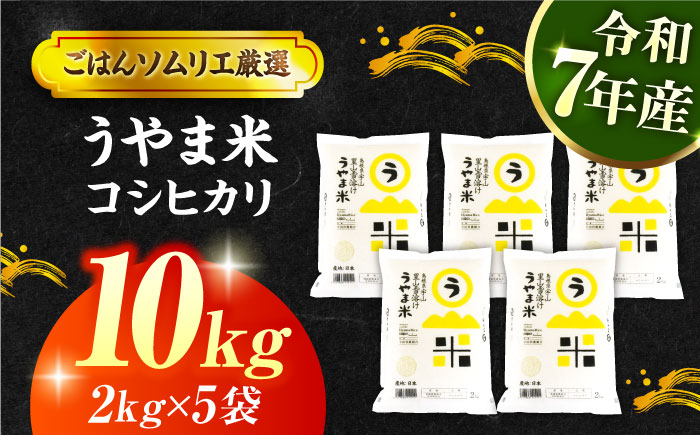 【令和7年産】雪解け水で育った 島根県産「うやま米コシヒカリ（雲南市吉田町）」10kg(2kg×5) 島根県松江市/有限会社藤本米穀店 [ALCG012] 米