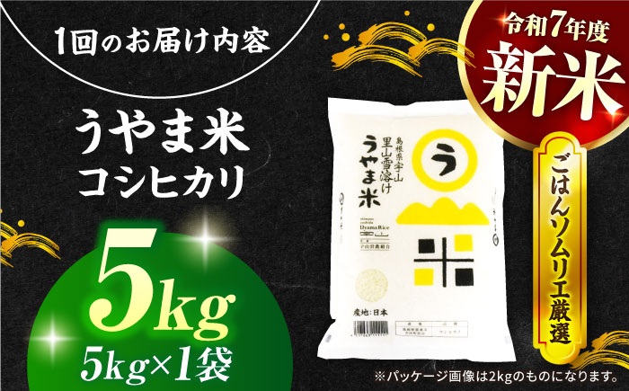 【3回定期便】島根県産「うやま米 コシヒカリ（雲南市吉田町）」5kg（5kg×1） 島根県松江市/有限会社藤本米穀店 [ALCG060]