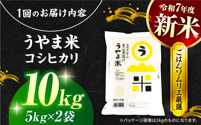 【3回定期便】島根県産「うやま米 コシヒカリ（雲南市吉田町）」10kg（5kg×2） 島根県松江市/有限会社藤本米穀店 [ALCG061]