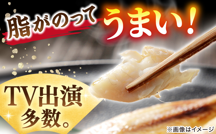 TV放映多数！県内外のファンがわざわざ訪れる 天日ほしもん屋特製 のどぐろ干物×2枚（大サイズ・20cm以上） 島根県松江市/桝谷鮮魚店 [ALCJ001] 干物