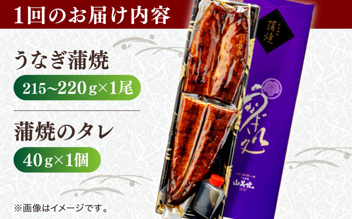 【3回定期便】うなぎ老舗専門店のパリっとふっくら国産うなぎ 蒲焼1尾(蒲焼のタレ付き) 島根県松江市/株式会社山美世商会 [ALDC007]