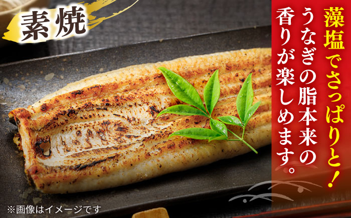 【12回定期便】うなぎ老舗専門店のパリっとふっくら 紅白うなぎ 蒲焼・素焼半身　(真空パック/秘伝のタレ・藻塩付き) 島根県松江市/株式会社山美世商会 [ALDC018]