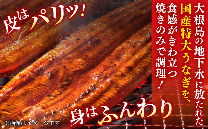 【6回定期便】うなぎ老舗専門店のパリっとふっくら国産うなぎ 蒲焼カット4食セット(蒲焼のタレ付き) 島根県松江市/株式会社山美世商会 [ALDC020]