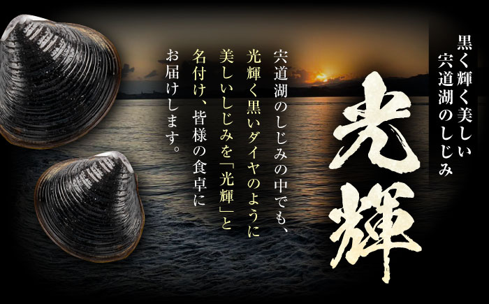【全3回定期便】産地直送！ 宍道湖産 冷凍大和しじみLサイズ2kg(500g×4) 砂抜き処理済 島根県松江市/りすたむMatsue [ALDE010]