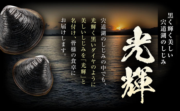 【全6回定期便】産地直送！宍道湖産 冷凍大和しじみLサイズ4kg(500g×8) 砂抜き処理済 島根県松江市/りすたむMatsue [ALDE017]