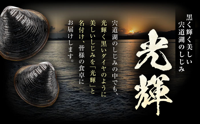 【全3回定期便】産地直送！宍道湖産 冷凍大和しじみMサイズ1kg(500g×2) 砂抜き処理済 島根県松江市/りすたむMatsue [ALDE019]
