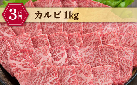 【全3回定期便】しまね和牛 3種食べ比べ定期便 カルビ モモ 肩ロース 島根県松江市/フジキコーポレーション株式会社 [ALDS011] 牛肉