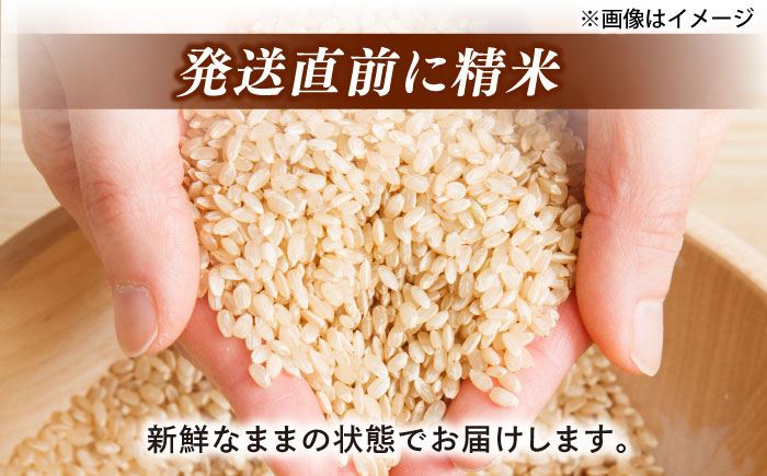 ＼新生活応援企画！／【数量限定100個】【4月末まで！】豊かな自然が育んだお米 松江市産きぬむすめ 10kg 島根県松江市/フジキコーポレーション株式会社 [ALDS021] 米