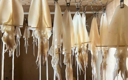 白イカ(ケンサキイカ)の一夜干し3枚セット 島根県松江市/海ひこ株式会社 [ALDY006] 干物