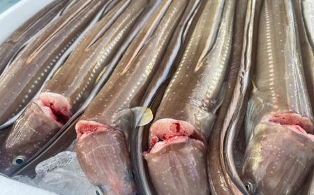 煮あなご3枚セット 島根県松江市/海ひこ株式会社 [ALDY011] 魚貝 加工品