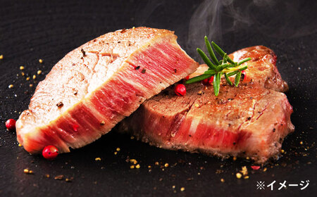 極上厳選！受賞歴多数 ヒレステーキ(500g) 島根県松江市/株式会社O.R.C [ALEF001] 牛肉