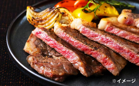 極上厳選！受賞歴多数 しまね和牛 ステーキ(500g) 島根県松江市/株式会社O.R.C [ALEF010] 牛肉