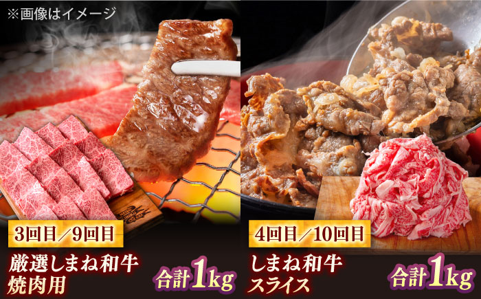 【全12回定期便】叉鬼の焼肉酒場 豪華特別セット！（ハラミ・牛タン・厳選焼肉・スライス・しゃぶしゃぶ/すき焼き・ヒレステーキ）計8.2kg　島根県松江市/株式会社O.R.C [ALEF014]