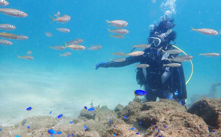 松江で海中散歩♪初心者でも安心の体験ダイビングプラン 島根県松江市/合同会社LOCOBLUE [ALFE001] 体験チケット