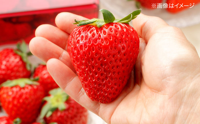 【数量限定20セット】島根県松江市「のつ農園」　完熟いちご「福富アダージョベリー」９個入り 島根県松江市/山陰中央テレビジョン放送株式会社 [ALFI002]