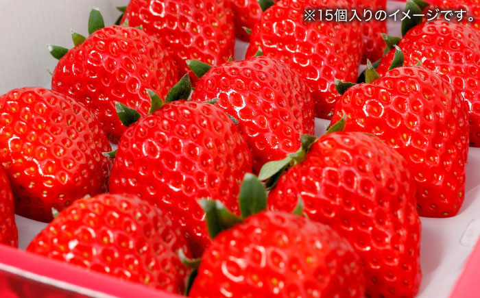 【数量限定100セット】島根県松江市「のつ農園」　完熟いちご「福富アダージョベリー」　12個入り 島根県松江市/山陰中央テレビジョン放送株式会社 [ALFI003]