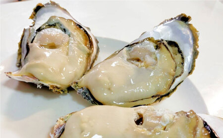 【全3回定期便】漁師直送！「季節を旬の海産物で感じる」詰め合わせ(10,000円相当分)冷凍 島根県松江市/株式会社永幸丸 [ALFM008] 旬の鮮魚