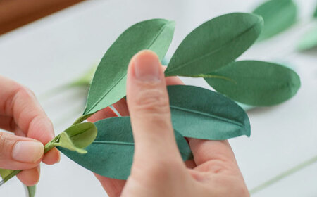 かみさまの榊 島根県松江市/Atelier Haruiro izumoiro [ALGE001] 神具