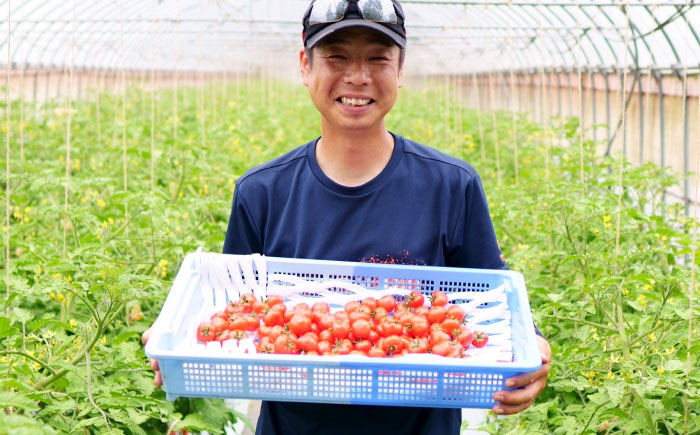 赤いチェリートマトジュース180ml×5本 島根県松江市/有限会社安藤農園 [ALID001]