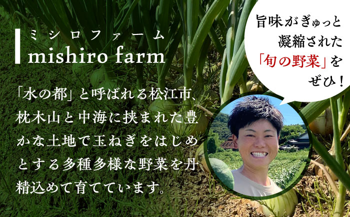 【数量限定10個】【先行予約/2026年6月上旬以降順次発送】美味しまねゴールド認証取得! 松江市産　春おとずれ新たまねぎ 2Lサイズ 5kg 島根県松江市/mishiro farm [ALIJ004]
