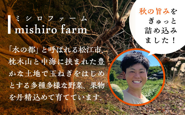 【数量限定10個】【秋限定！先行予約/10月上旬より順次発送】美味しまねゴールド認証！ 松江市産 西条柿 合わせ柿 大玉2L 5kg 島根県松江市/mishiro farm [ALIJ005]