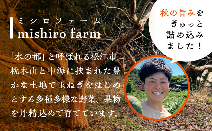 【数量限定10個】【先行予約/12月上旬より順次発送】松江市産 西条柿 干し柿 【柿化粧】　10個入り（約50g×10個）大粒　個包装　島根県松江市/mishiro farm [ALIJ006]