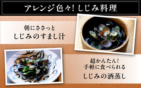 【全6回定期便】宍道湖産ヤマトシジミ(冷凍砂抜き済み)Lサイズ1kg×2袋(2kg) 島根県松江市/宍道湖漁業協同組合 [ALAZ004] しじみ