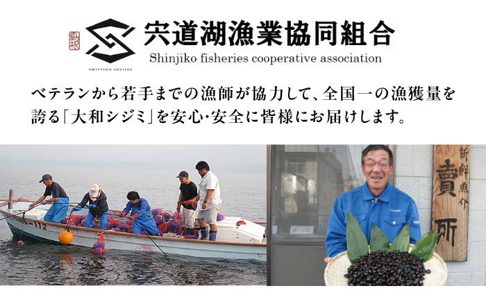 【全3回定期便】地元でも入手困難なレアサイズ！ Lサイズ 宍道湖産ヤマトシジミ(冷凍砂抜き済み)1kg×3袋(3kg) 島根県松江市/宍道湖漁業協同組合 [ALAZ006]