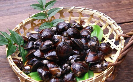 宍道湖産しじみ使用 しじみラーメン貝付 6食セット 島根県松江市/株式会社なかたか [ALBQ003] ラーメン